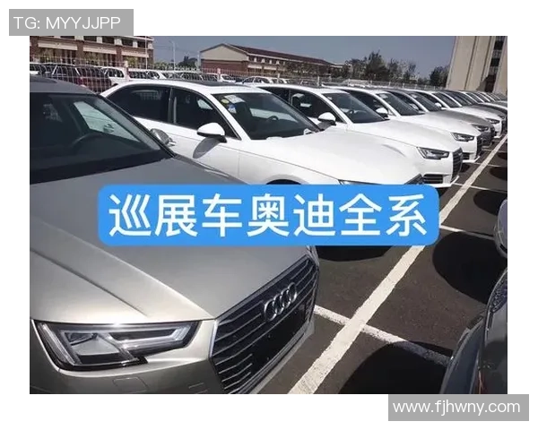 快手足球球星奥迪个人资料及其在足球界的成就解析